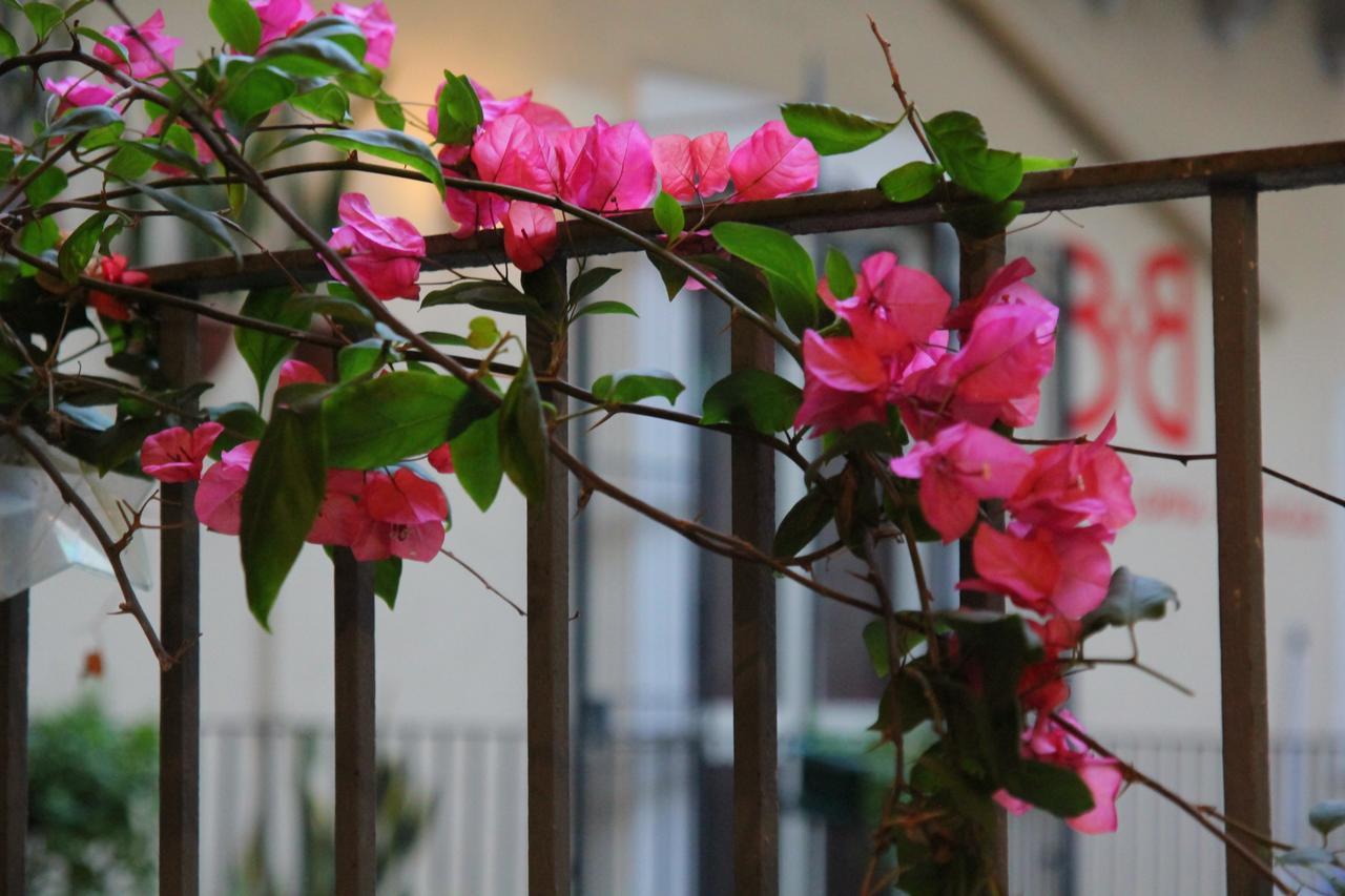 Cortile Stesicoro Bed and Breakfast Catania Eksteriør billede